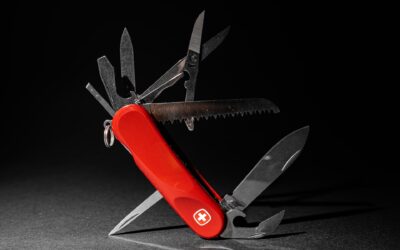 The Swiss Army Knives of Credit Unions: The Crucial Role of Risk Professionals